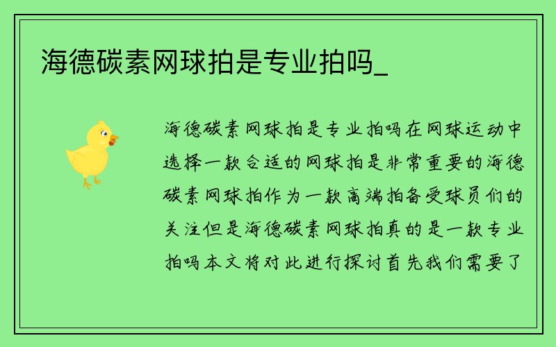 海德碳素网球拍是专业拍吗_