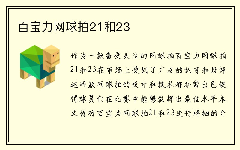 百宝力网球拍21和23