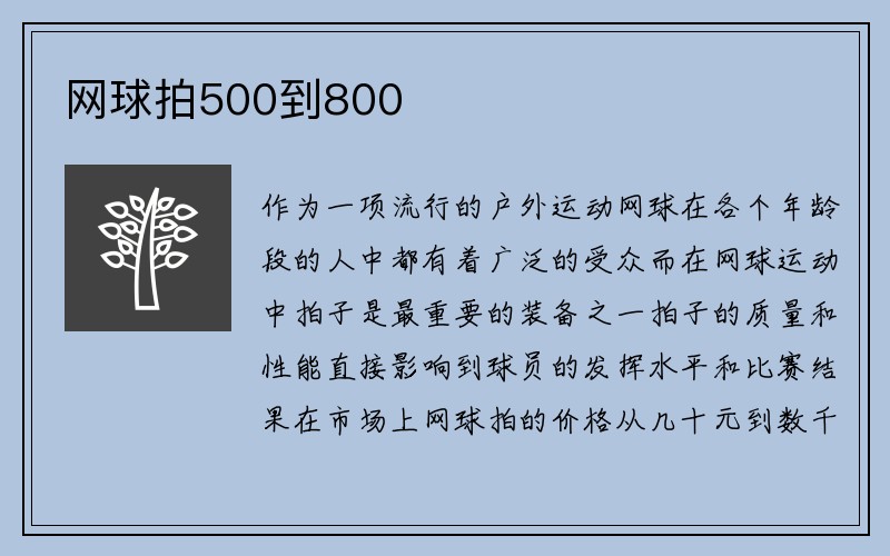 网球拍500到800