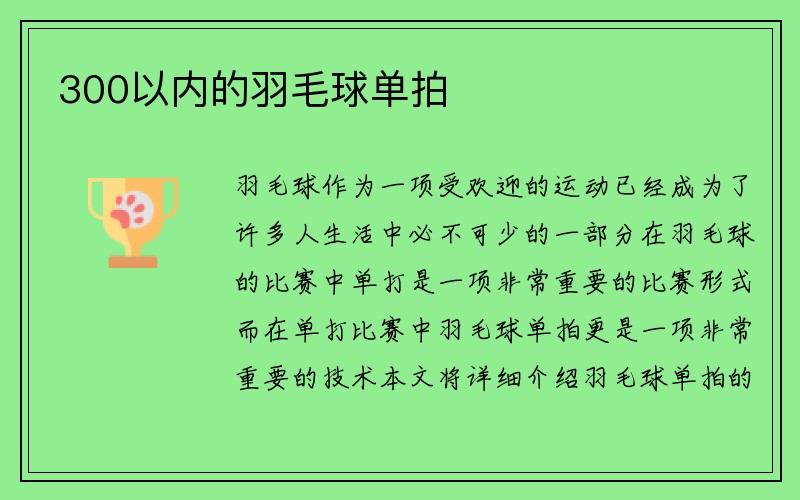 300以内的羽毛球单拍