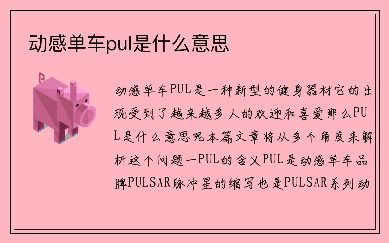 动感单车pul是什么意思