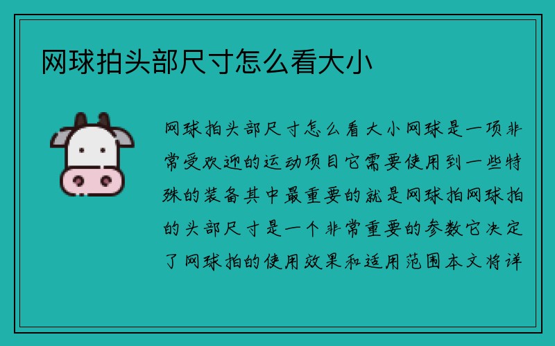 网球拍头部尺寸怎么看大小