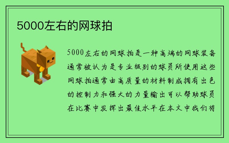 5000左右的网球拍