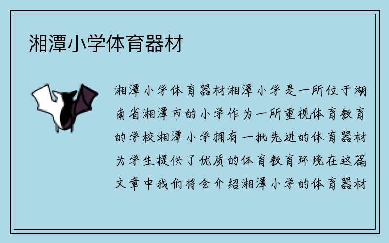 湘潭小学体育器材