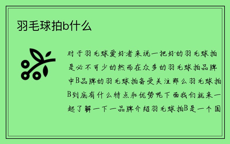 羽毛球拍b什么