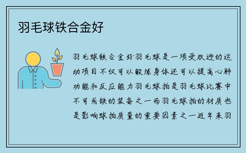 羽毛球铁合金好